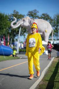 BIB: 
                            <button type="button" onclick="openModal(26542801)" class="btn btn-primary btn-sm float-right btn-popup" data-toggle="modal" data-target=".modal-high-quality">
                        <i class="fas fa-shopping-cart"></i> Add to Cart
                    </button>
                                            <button type="button" onclick="isThisMe(26542801, true)" class="btn btn-success btn-sm float-right btn-popup btn-isme hidden" data-toggle="tooltip" data-placement="bottom" title="นี่คือรูปของคุณใช่ไหม คลิกที่นี่เพื่อเอาเข้าอัลบั้ม">
                        <i class="fas fa-plus"></i> Add to album
                    </button>
                    <button type="button" onclick="isThisMe(26542801, false)" class="btn btn-warning btn-sm float-right btn-popup btn-isnotme hidden">
                        <i class="fas fa-ban"></i> Remove from album
                    </button>